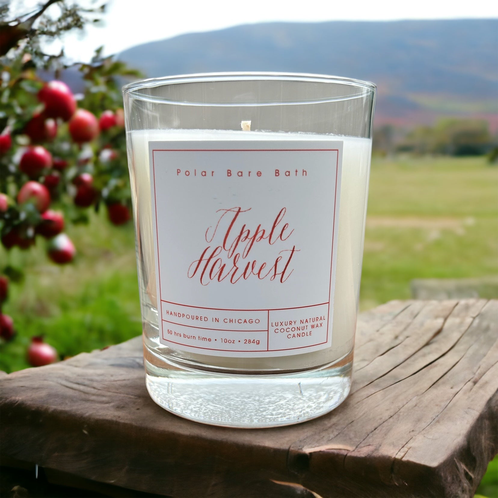 Apple Harvest Natural Coconut Wax Candle